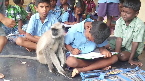 காப்பாற்ற முயற்சி