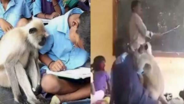 2 பலியாகின