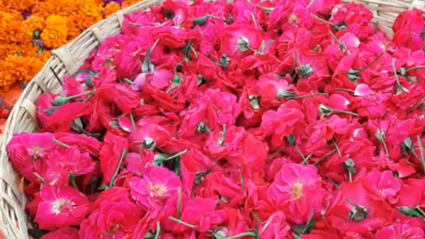 தோவாளை பூக்கள்