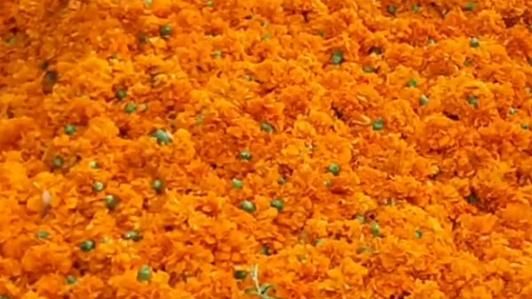 பூக்கள்
