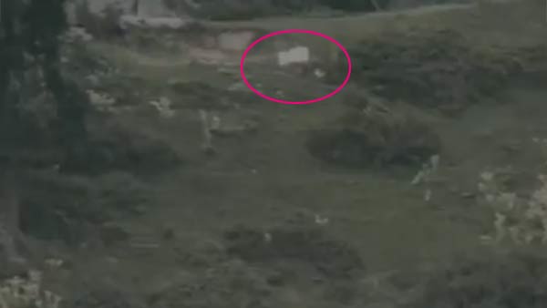 Pakistan Soldiers Showing White Flag While Retrieving The Bodies of Their Killed Personnel Pakistan Soldiers Showing White Flag While Retrieving The Bodies of Their Killed Personnel
