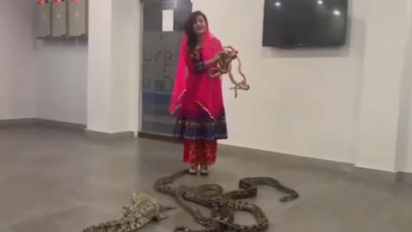 Pakistani pop star Pirzada threatened PM Modi with an alligator, four pythons and snakes Pakistani pop star Pirzada threatened PM Modi with an alligator, four pythons and snakes