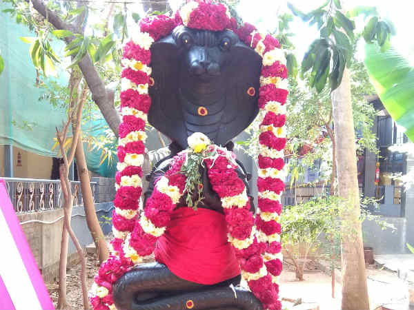புதனோடு சேரும் ராகு கேது