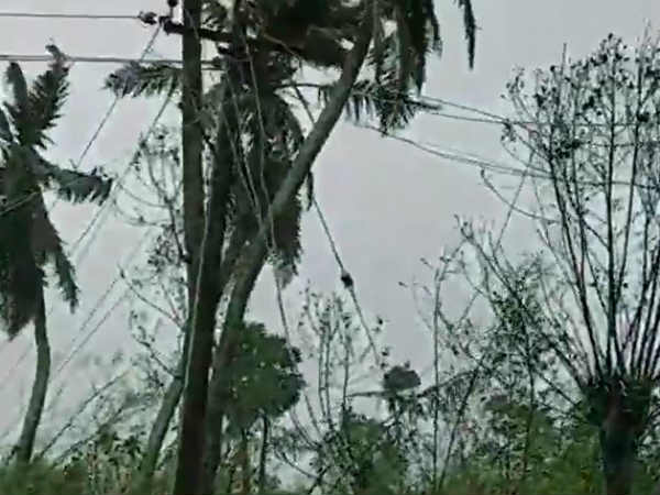 சரி செய்யுமாறு