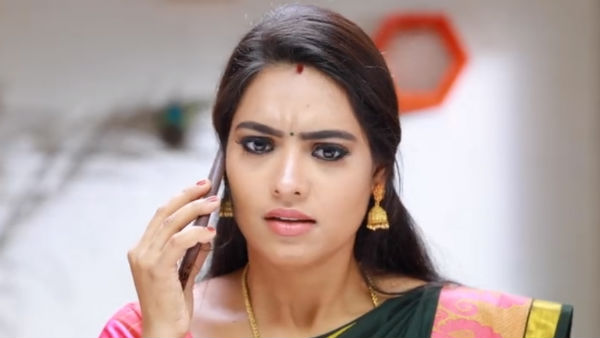 வயல் மம்மட்டி