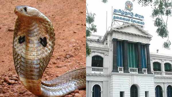 A Snake was caught inside the TN Secretariate Enterence A Snake was caught inside the TN Secretariate Enterence