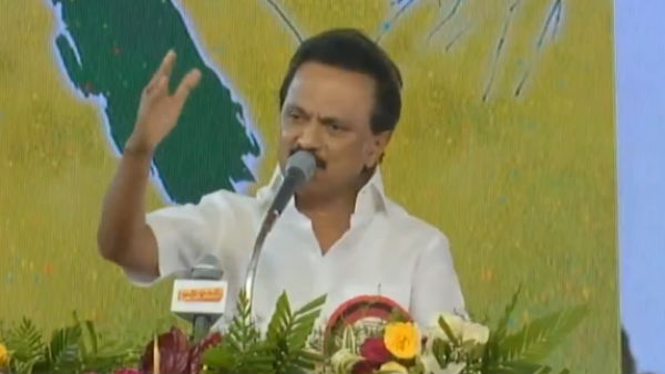 என்ன பிரிவு