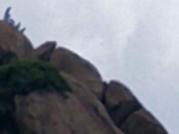 மலை உச்சி