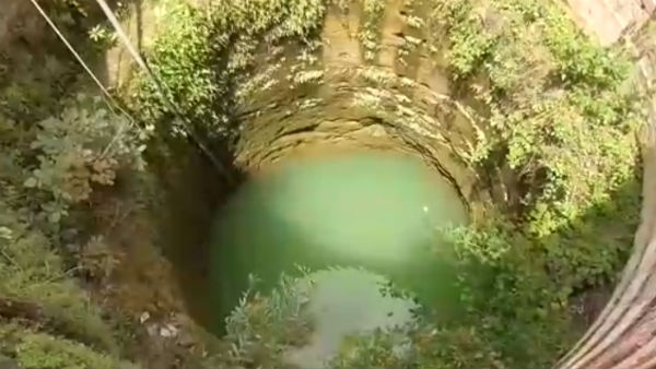 பரிதாப மரணம்