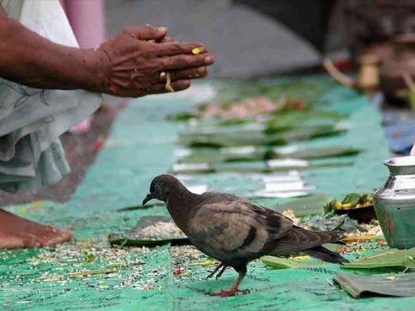 அன்னதானம் செய்யவேண்டும்