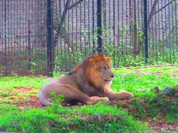 தகவல் இல்லை