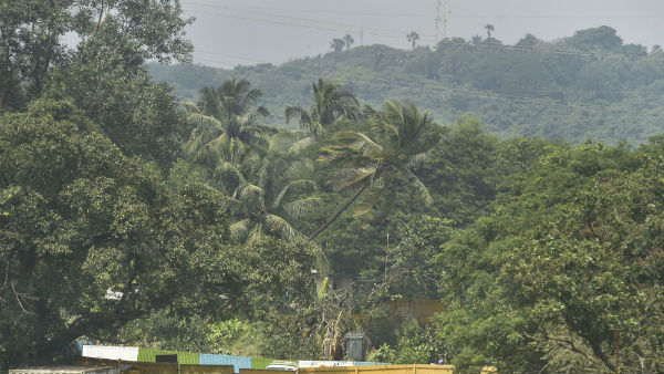 எப்படி வழக்கு