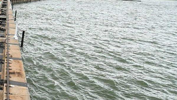Cauvery Water Regulation Committee meeting to be held on Oct. 31 at Trichy Cauvery Water Regulation Committee meeting to be held on Oct. 31 at Trichy