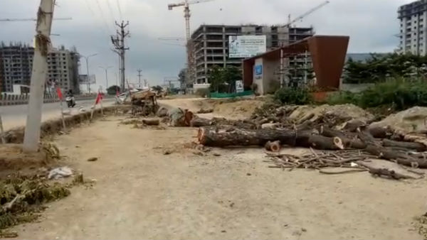 Hundreds of Trees Cut Down for Road Extension in Chennai Hundreds of Trees Cut Down for Road Extension in Chennai