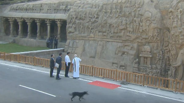 China President Xi Jinping pm modi meet : dog crossed while meeting China President Xi Jinping pm modi meet : dog crossed while meeting