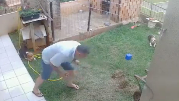 man blows up yard trying to kill bugs man blows up yard trying to kill bugs