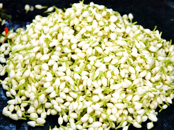 என்ன கலர் பூக்களுக்கு என்ன பலன்