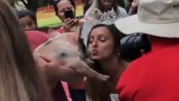 beautiful women kiss pigs who won the race beautiful women kiss pigs who won the race