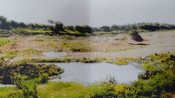 hc issues notice to collector on lake encroachment hc issues notice to collector on lake encroachment