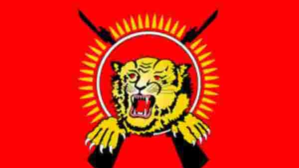 புலிகள்தான் என்பதற்கு ஆதாரம்?
