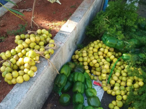 சீனாவில் இப்படி
