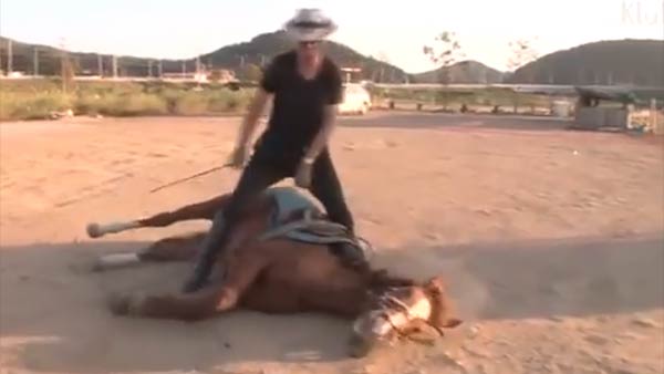 naughty horse video viral now naughty horse video viral now