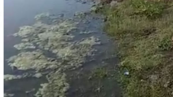 13 நாளில் 19 பேர் சாவு