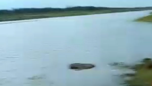 விரைந்த போலீஸ்