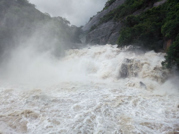 குருவின் சஞ்சாரம்