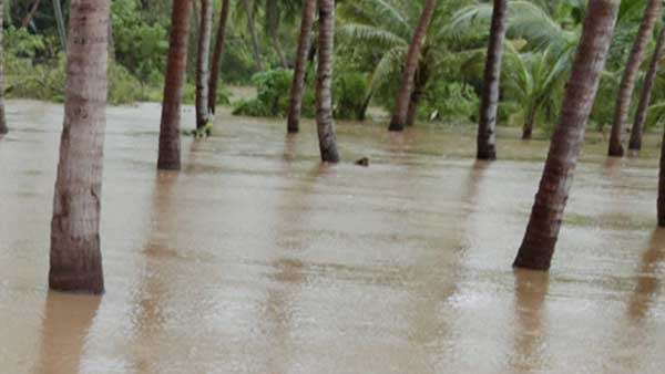 காற்றின் திசை
