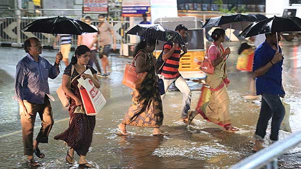 பாலசந்திரன் தகவல்