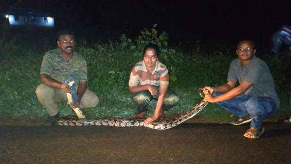 10 feet long snake caught near nellai 10 feet long snake caught near nellai
