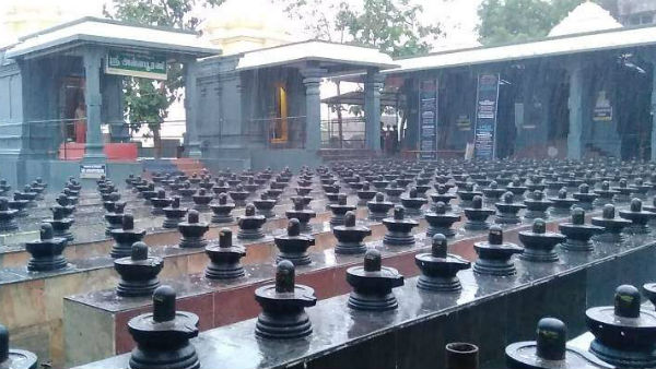 Guru peyarchi 2019 Maga yagam at Sri Dhanvantri Arokya Peedam Guru peyarchi 2019 Maga yagam at Sri Dhanvantri Arokya Peedam