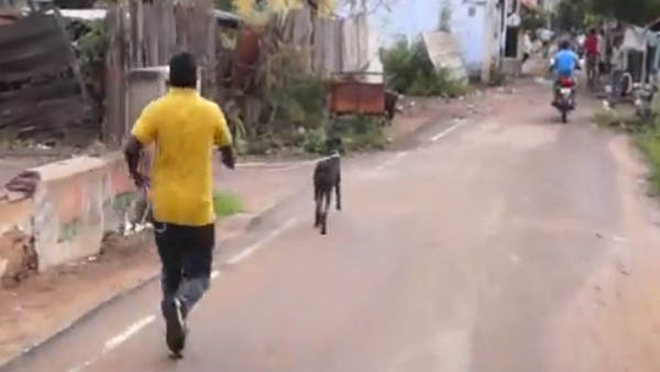 உள்ளே புகுந்து
