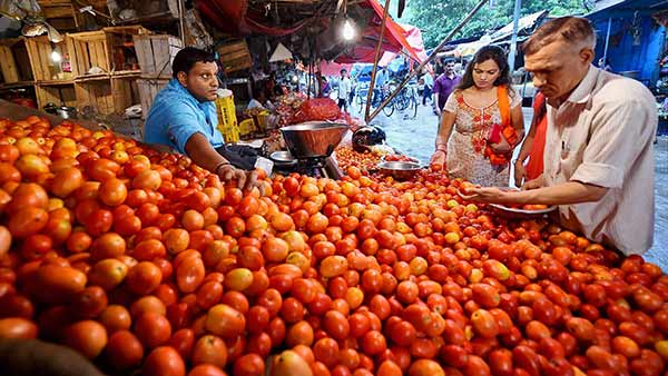 விண்ணை முட்டும் தாக்காளி விலை