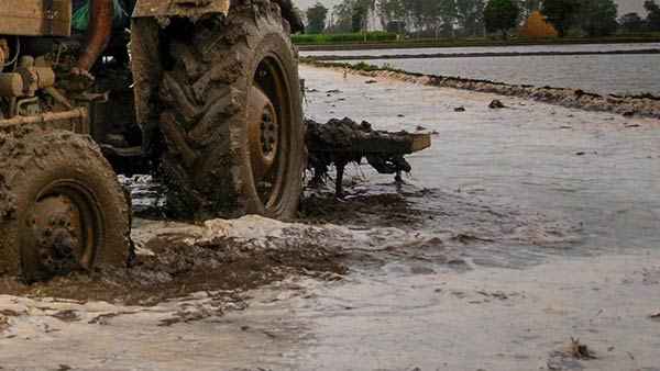 Lightning hits, Agricultural wage worker dies near Trichy Lightning hits, Agricultural wage worker dies near Trichy