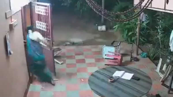 ஜாமீன்