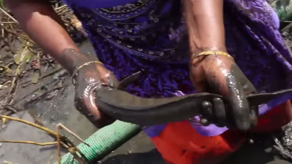 வில்லேஜ் ஃபூட்ஸ்