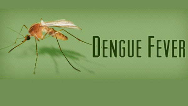 Ambattur 4 years old girl died of Dengue Ambattur 4 years old girl died of Dengue
