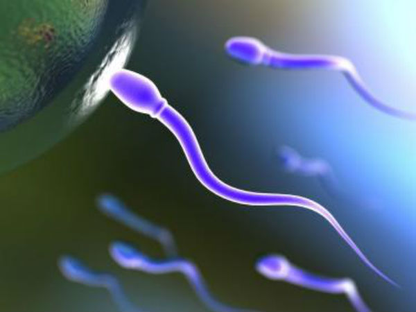 விந்தணு குறைபாடு