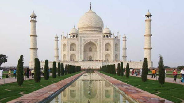 A phython found in Delhi Tajmahal A phython found in Delhi Tajmahal