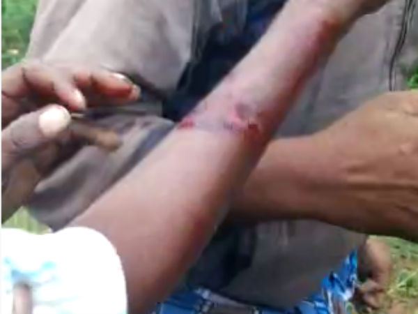 சிறுத்தையை சீண்டாதே