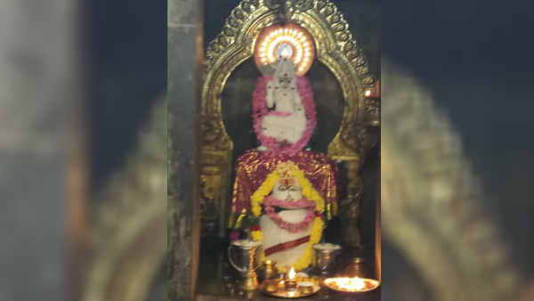 பக்தர்கள் தரிசனம்