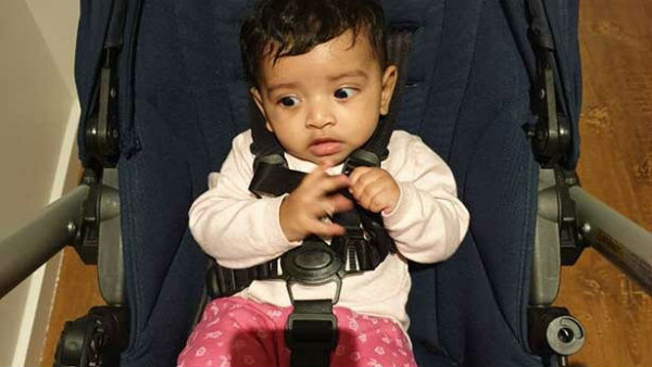 6 month old baby died in chennai flight 6 month old baby died in chennai flight