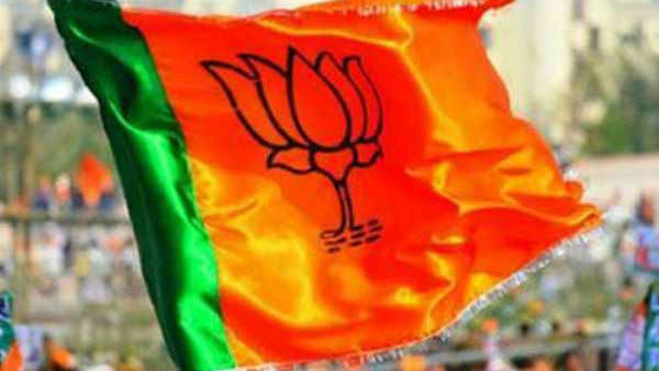 Karnataka Assembly By Elections: BJP Expels 2 Rebel Candidates Karnataka Assembly By Elections: BJP Expels 2 Rebel Candidates