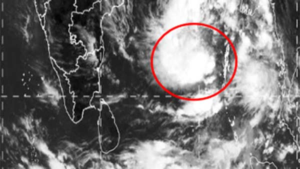 மென்மையாக இருக்குமா புல்புல்