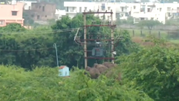 டிரான்ஸ்பார்மர்