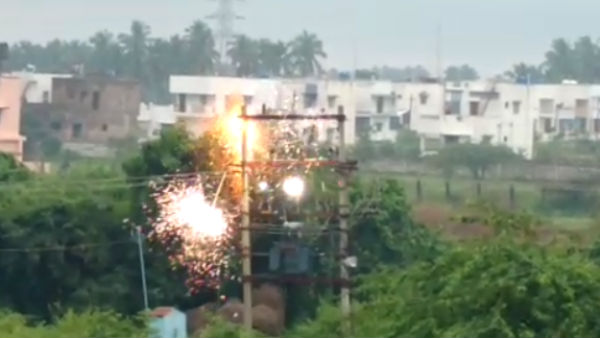 விரட்டிய யானைகள்