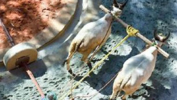 அரசு நிதி ஒதுக்கீடு
