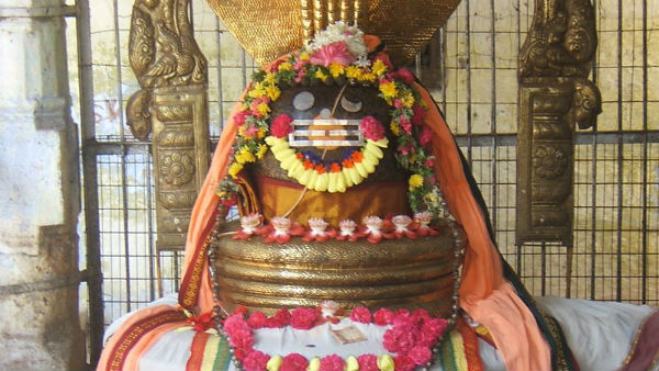 சிவ தரிசனம் செய்யவும்